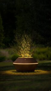 Corten Oyster - Nightime 2 website