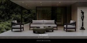 WHALE_COLLECTION